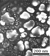 nickel superalloys