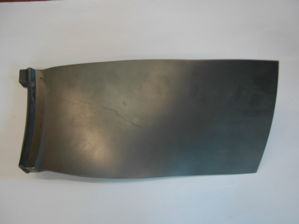 DSCN4442.JPG