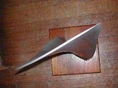 DSCN4447.JPG
