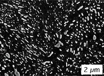 Micrographs of low, medium and high carbon steel a, e, i Untreated, b