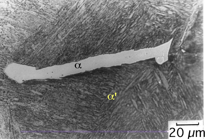 allotriomorphic ferrite