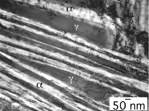 \includegraphics[width=11cm]{Figure2b.eps}