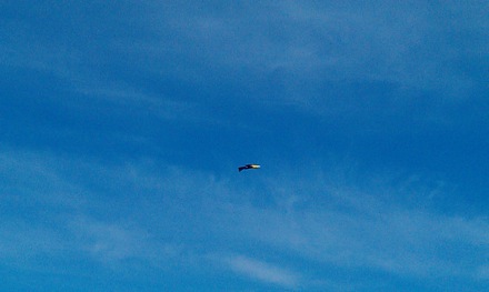 Named Miss Demeanour piloted by Jonathon Flapjack Whaley