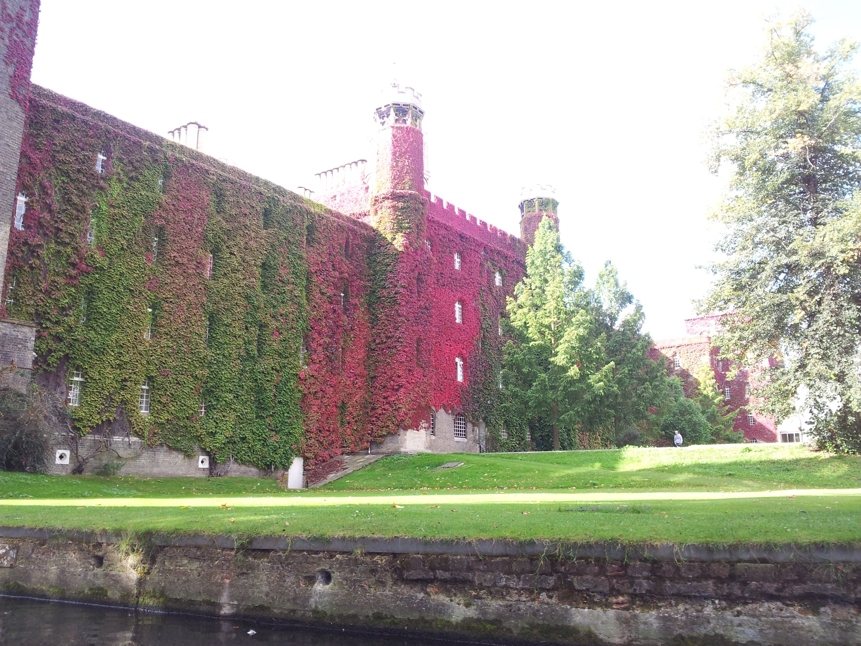 Punting - St John's college