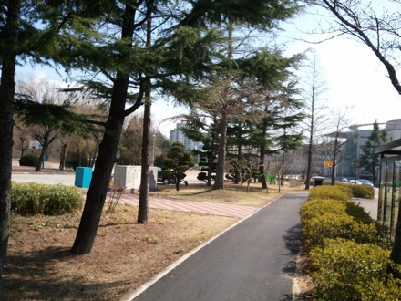 Harry Bhadeshia's award at POSTECH, Venus, Moon, Jupiter, sunshine, Pohang