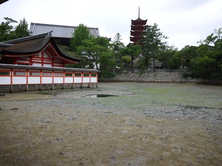 Mathew Peet in Japan