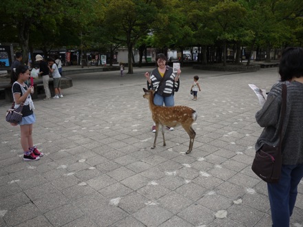 Mathew Peet in Japan