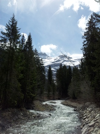 Ed Pickering, Switzerland