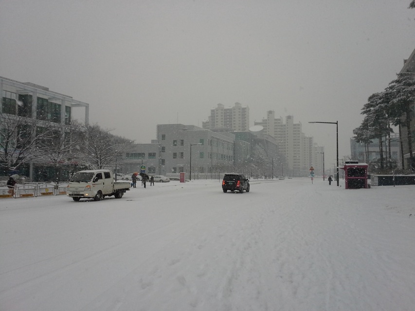 snow in Pohang, GIFT, You Young Song, Sri Lanka