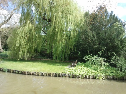 sunshine in Cambridge