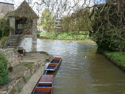 sunshine in Cambridge