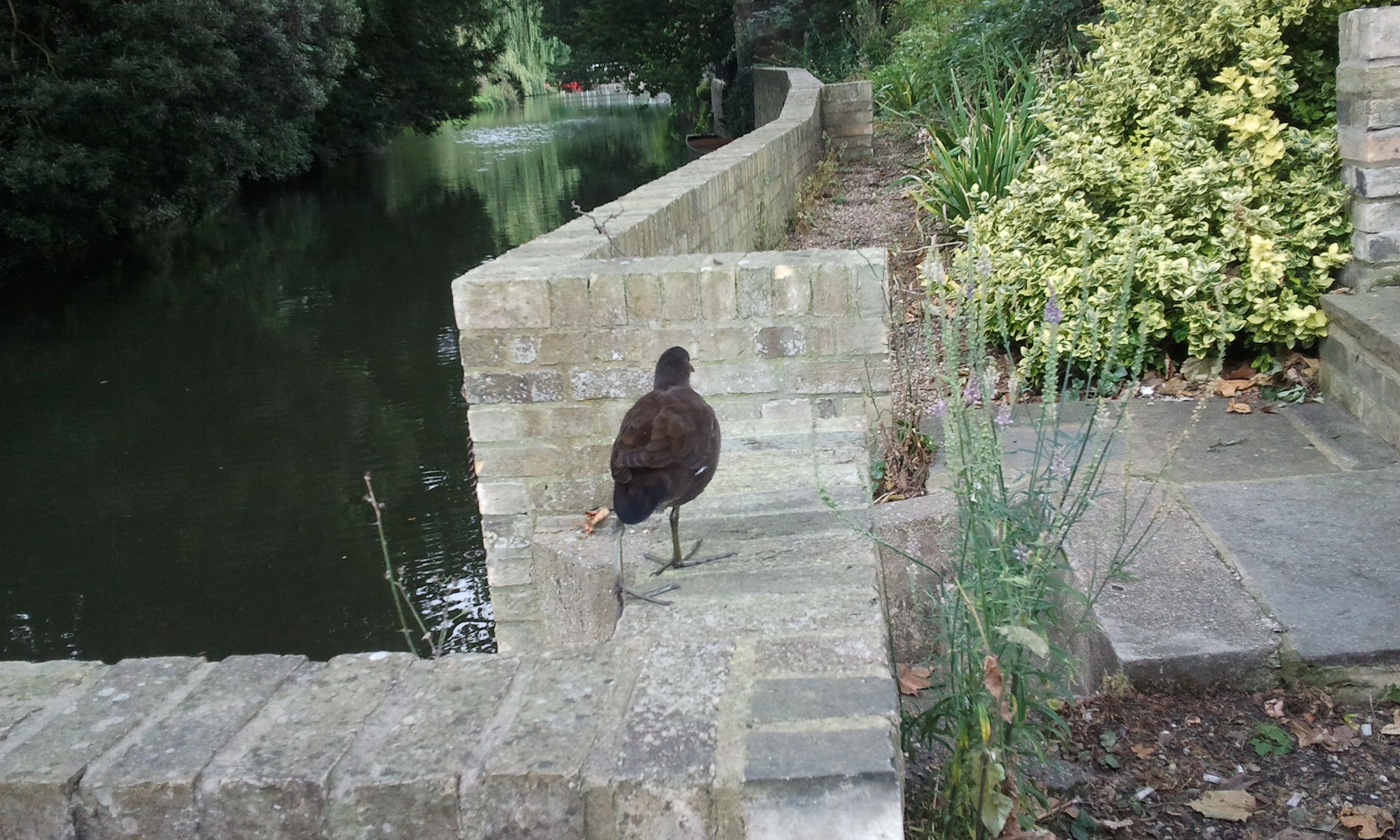 At Darwin College in Cambridge