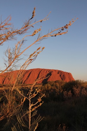 Lucy Fielding in Australia,Phase transformations and complex properties research group, steels, metallurgy