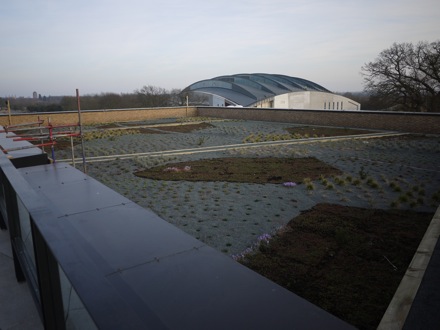 Materials Science and Metallurgy, University of Cambridge, new building, Steve Ooi, Mathew Peet