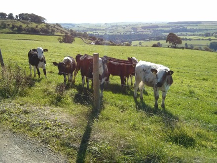 Sheffield, Moors, Andy Howe, Harry Bhadeshia, Phase transformations and complex properties research group