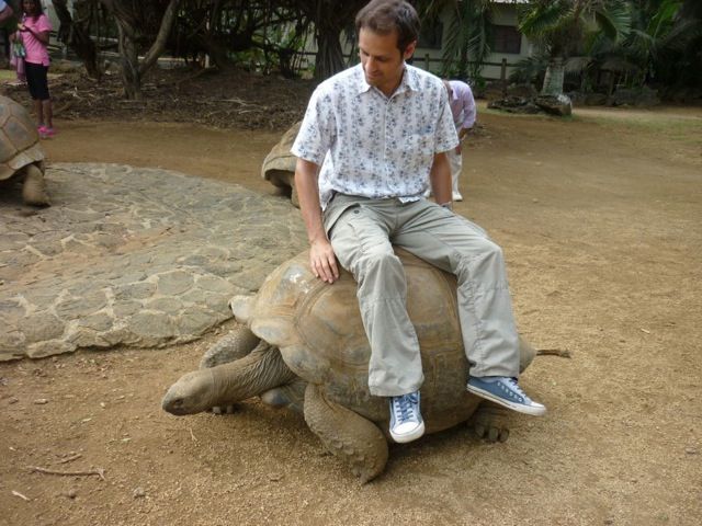 Transport is slow in Mauritius