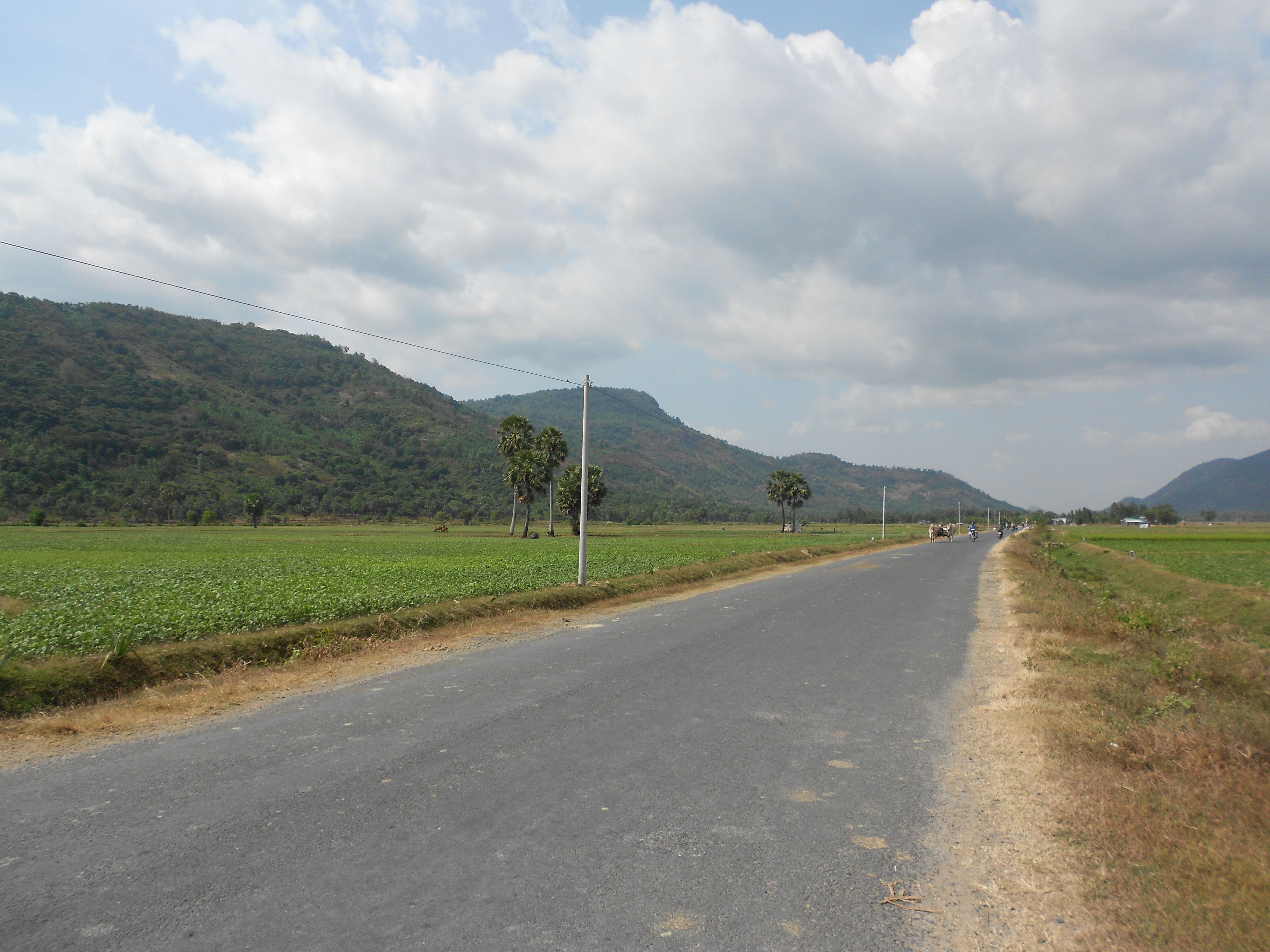 On_the_road_to_my__father_farm_1