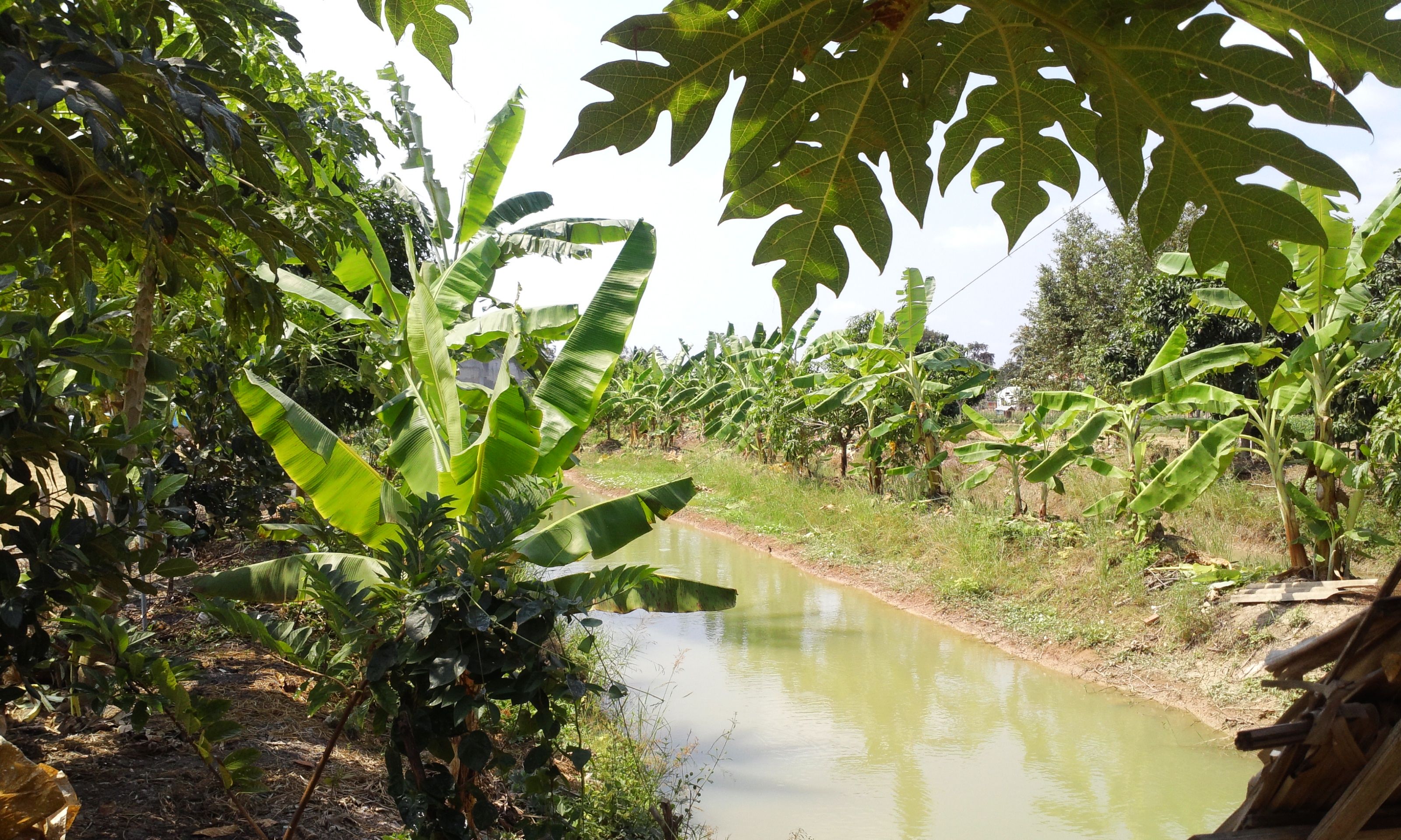 another_corner_of_my_father_farm