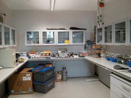 The Department of Materials Science and Metallurgy, University of Cambirdge, moves into a new building, phase transformations and complex properties research group
