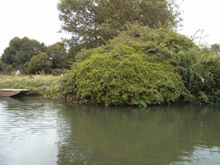 PT Group picnic, Grantchester, Cambridge, Cambridge University