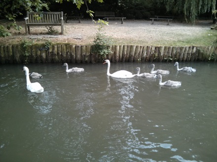 PT Group picnic, Grantchester, Cambridge, Cambridge University