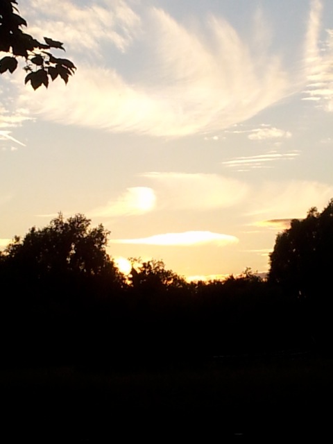 Sunset in Cambridge, Hala Salman Hasan