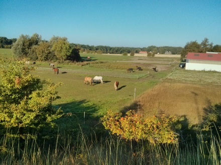 New frontiers in nanostructured metals, 35th Risoe meeting, Roskilde, Denmark