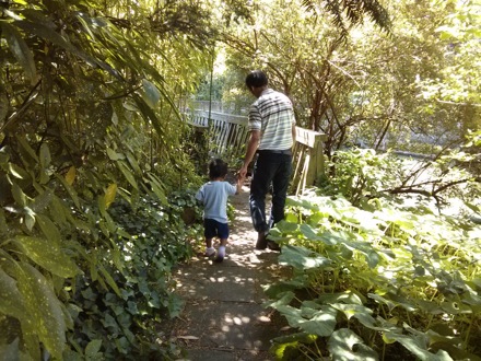 Exploring Darwin Island