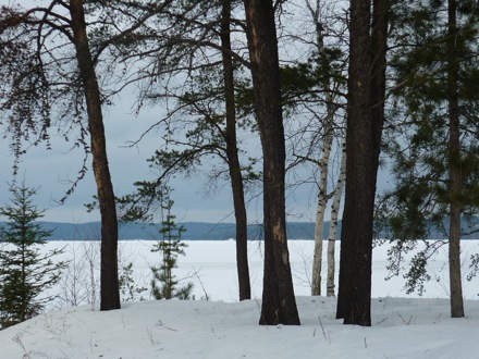 Tim Ramjaun, Canada, Winter, Chalk River, neutron diffraction, Phase transformations