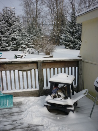 Tim Ramjaun, Canada, Winter, Chalk River, neutron diffraction, Phase transformations