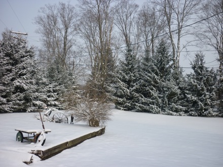 Tim Ramjaun, Canada, Winter, Chalk River, neutron diffraction, Phase transformations