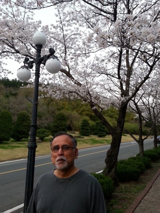 spring in Pohang, South Korea, Nirupam Chakraborty, Harry Bhadeshia