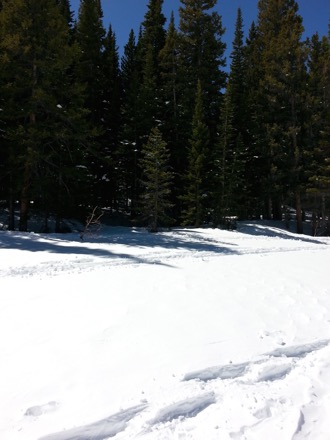 Colorado, Golden, David Matlock, April 2015, Harry Bhadeshia, Rocky Mountains, Metallurgy