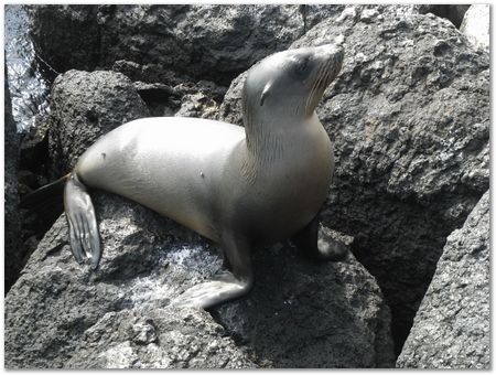 Galapagos Islands, Ecuador, Charles Darwin, Evolution