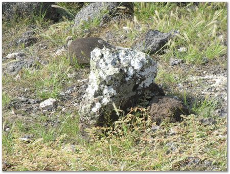 Galapagos Islands, Ecuador, Charles Darwin, Evolution