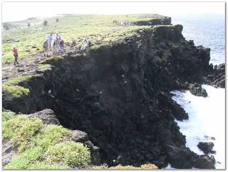 Galapagos Islands, Ecuador, Charles Darwin, Evolution