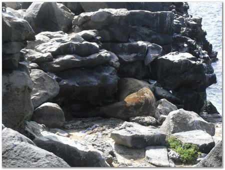 Galapagos Islands, Ecuador, Charles Darwin, Evolution