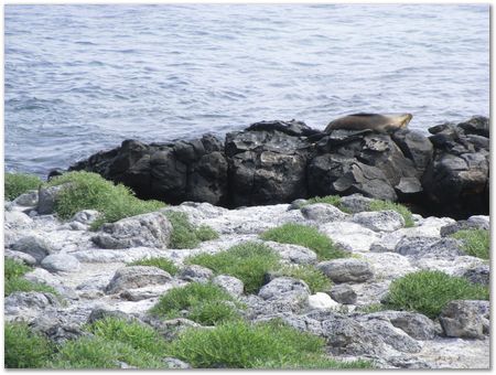 Galapagos Islands, Ecuador, Charles Darwin, Evolution