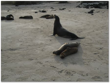 Galapagos Islands, Ecuador, Charles Darwin, Evolution