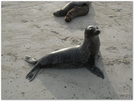 Galapagos Islands, Ecuador, Charles Darwin, Evolution