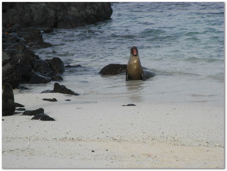 Galapagos Islands, Ecuador, Charles Darwin, Evolution