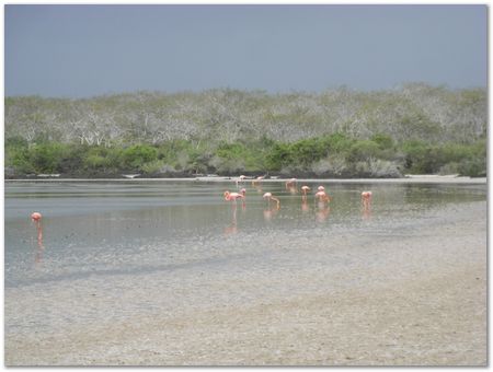 Galapagos Islands, Ecuador, Charles Darwin, Evolution