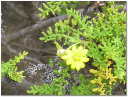 Galapagos Islands, Ecuador, Charles Darwin, Evolution