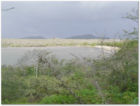 Galapagos Islands, Ecuador, Charles Darwin, Evolution