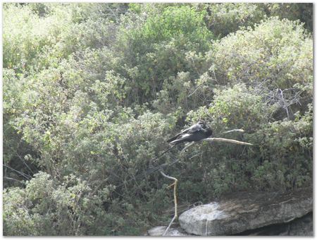 Galapagos Islands, Ecuador, Charles Darwin, Evolution