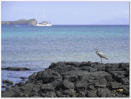 Galapagos Islands, Ecuador, Charles Darwin, Evolution