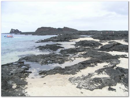 Galapagos Islands, Ecuador, Charles Darwin, Evolution