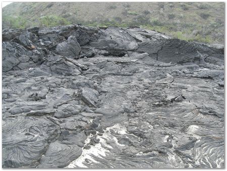 Galapagos Islands, Ecuador, Charles Darwin, Evolution