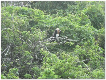 Galapagos Islands, Ecuador, Charles Darwin, Evolution