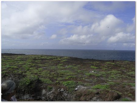 Galapagos Islands, Ecuador, Charles Darwin, Evolution